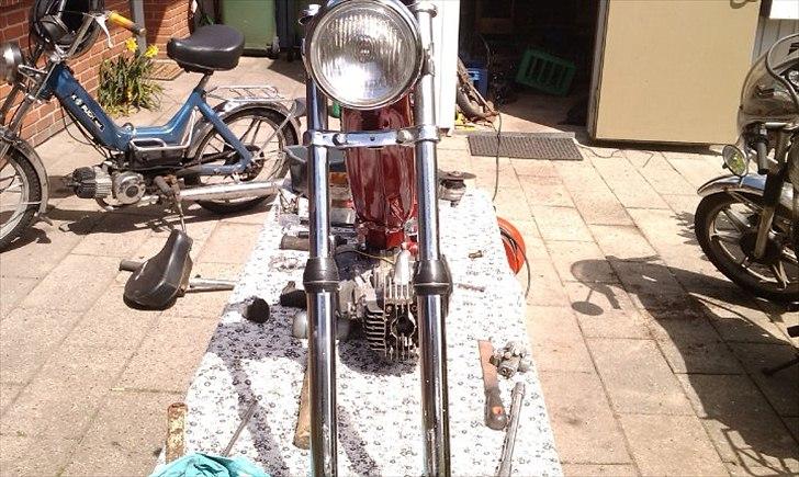 Puch maxi p1 billede 7