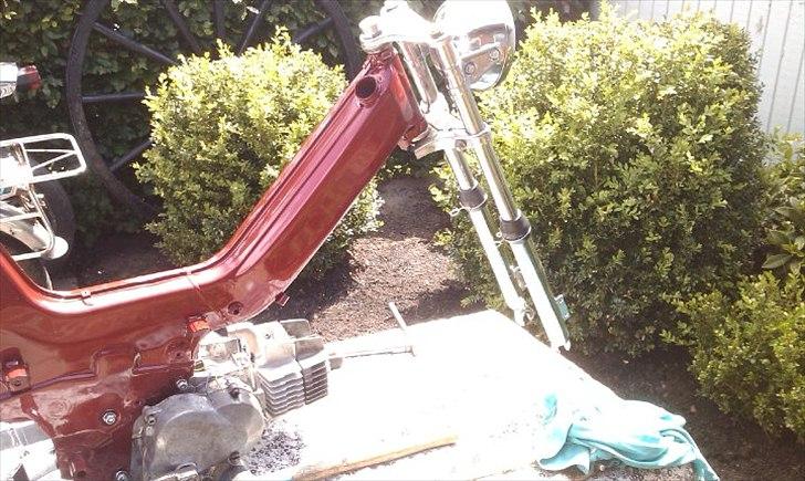 Puch maxi p1 billede 8