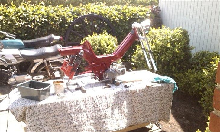 Puch maxi p1 billede 9