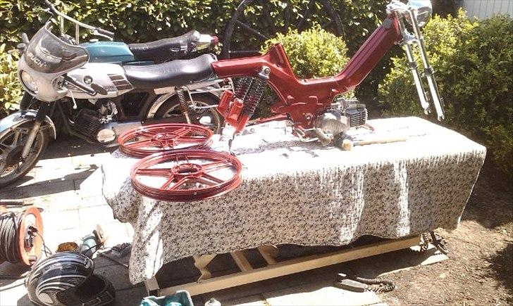 Puch maxi p1 billede 10