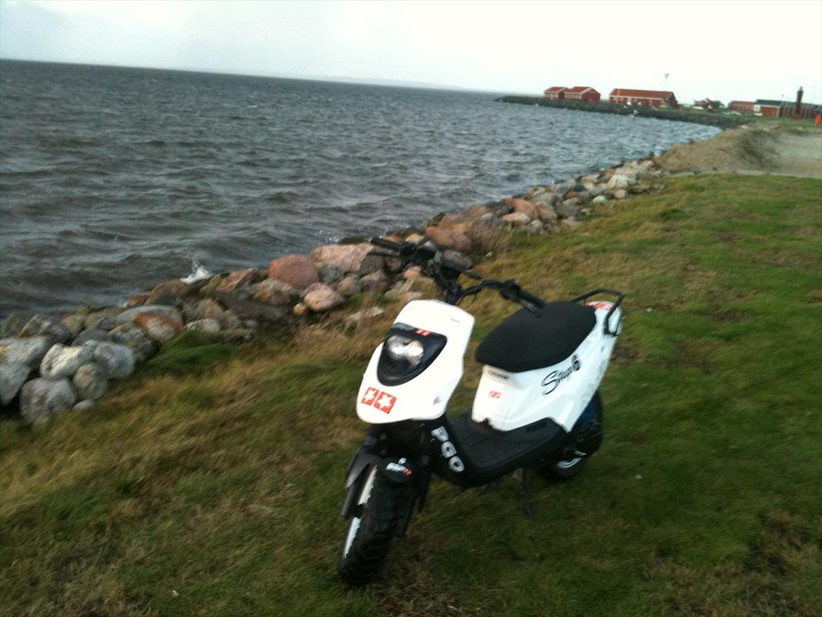 PGO Hot Naked billede 19