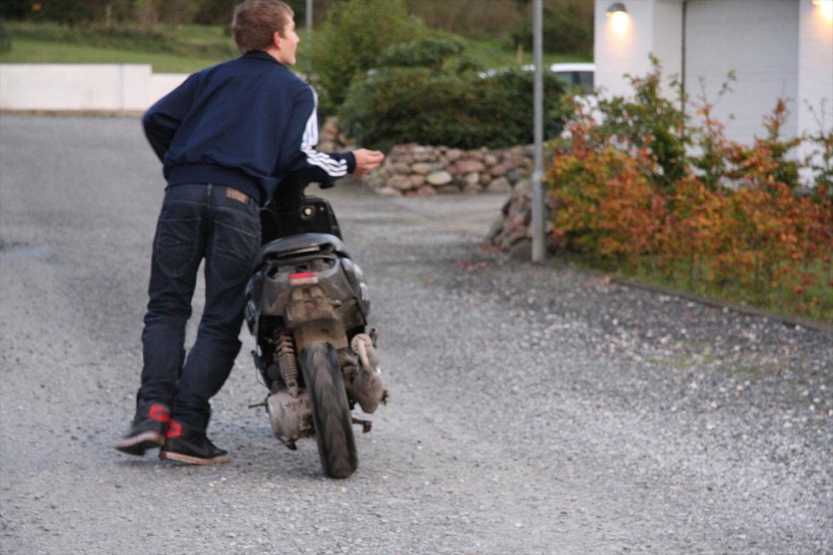 Peugeot knepscooter aka. jytte (tkr) billede 13