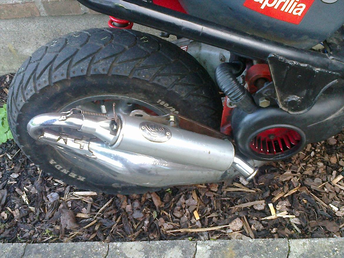 Aprilia Aprilia rally/hot 50/baneracer billede 5