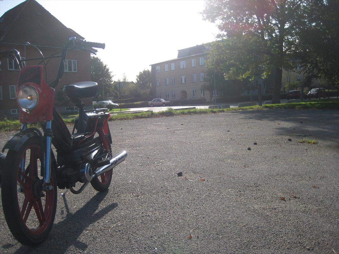 Puch Maxi 2 Gear "Night Rider" billede 8