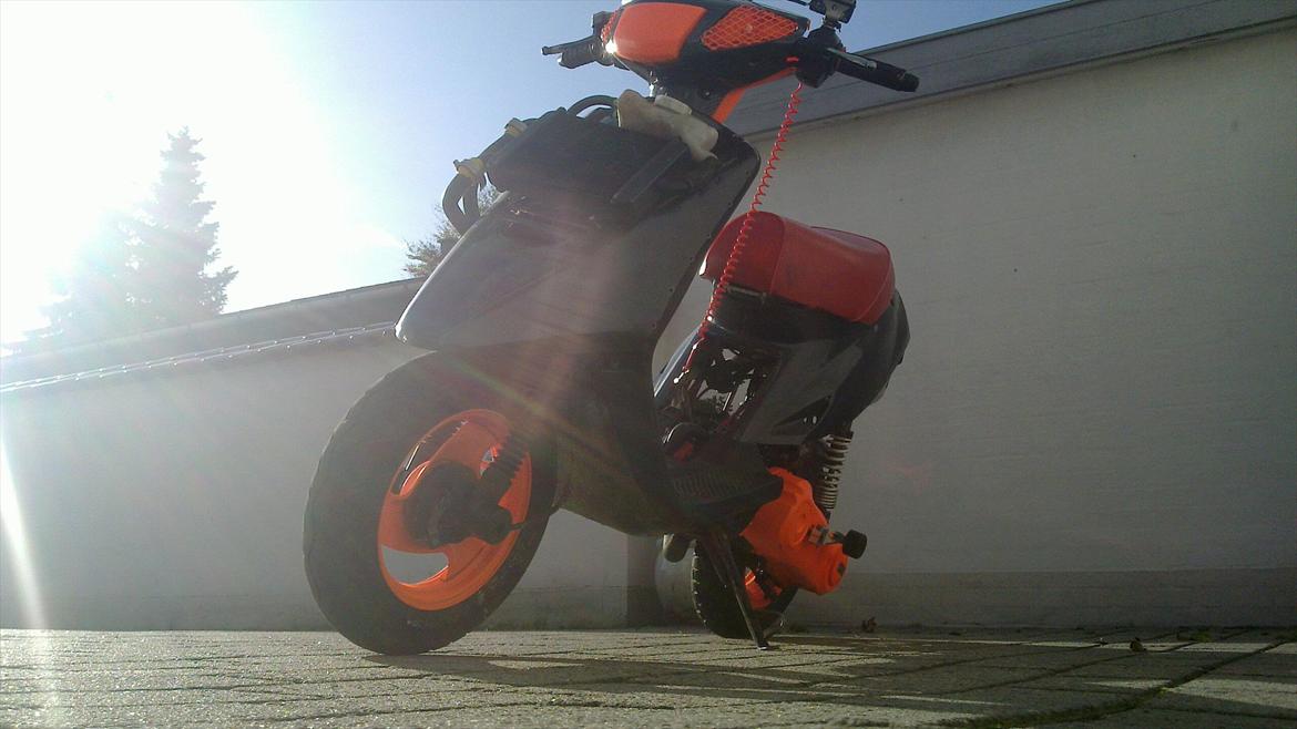 Yamaha  Pata Negra  billede 13