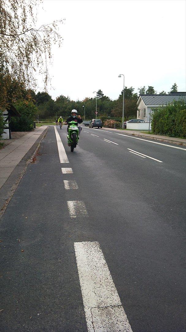 Yamaha  Pata Negra  billede 15