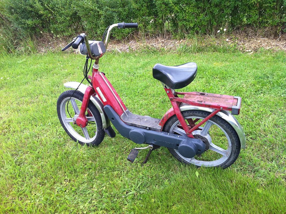 Vespa caio billede 1