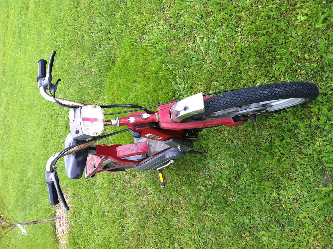 Vespa caio billede 2