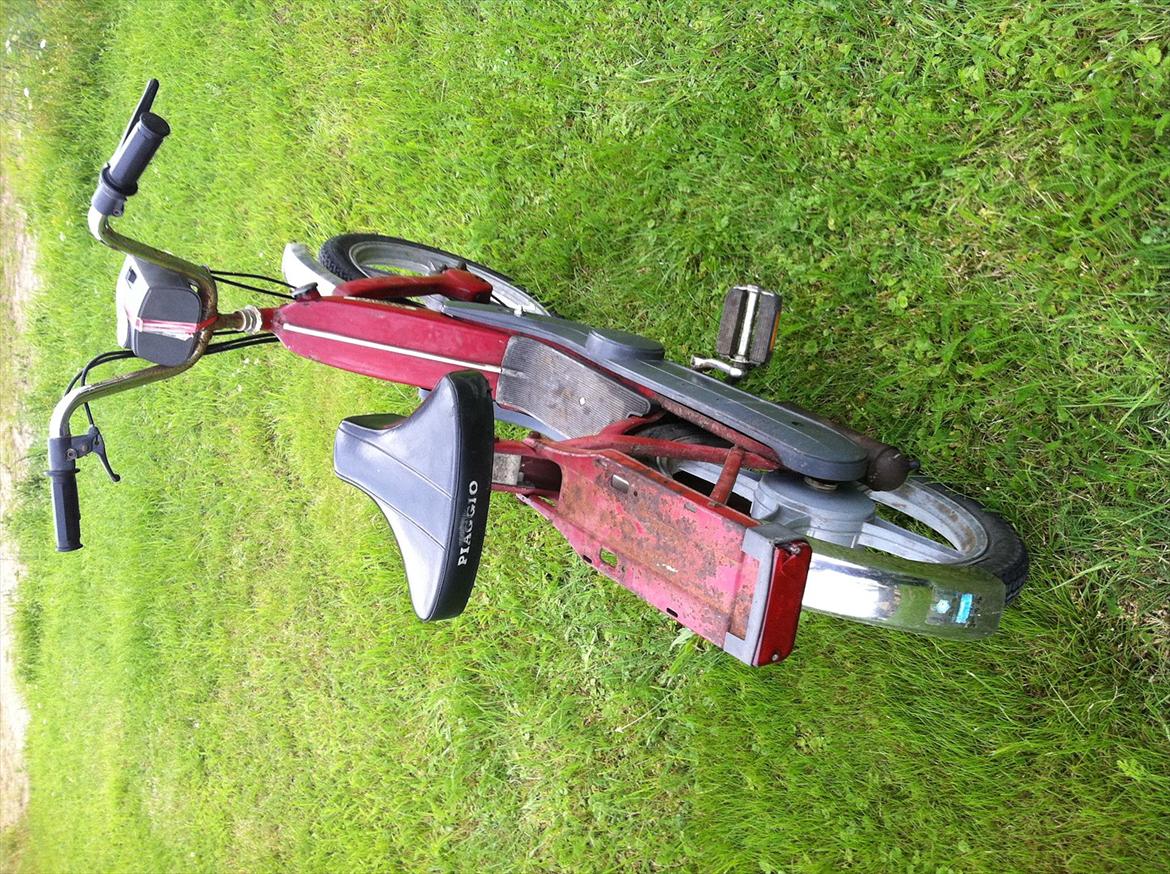 Vespa caio billede 3