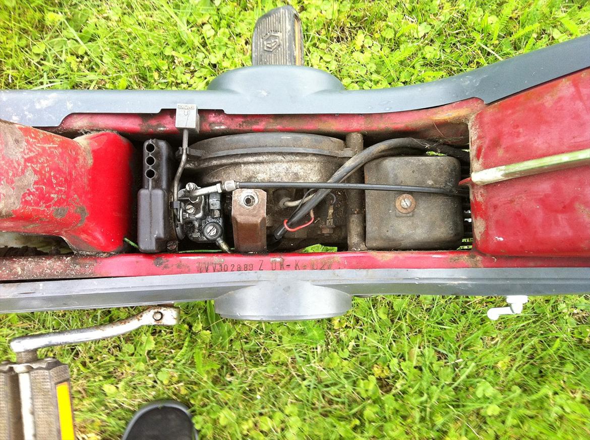 Vespa caio billede 7