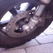 Aprilia Rally
