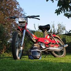 Puch maxi-p1L