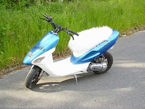 Honda sfx - BYTTET TIL JOG :P - Jaa her er dyret så ;) Dejlig farve .. billede 1