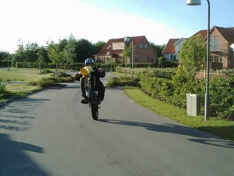 Suzuki smx - kede mig lidt mer billede 8