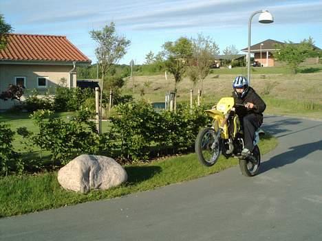 Suzuki smx - inu mere billede 9