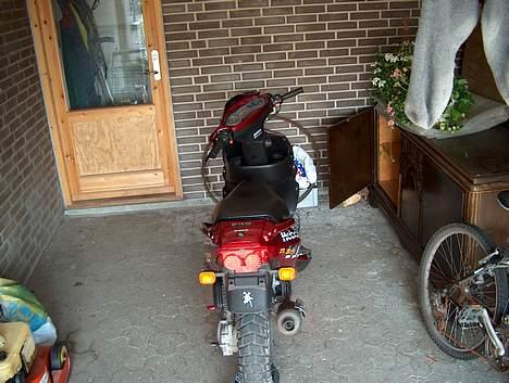 PGO DR. BIG -=] PROJECT [=- billede 8