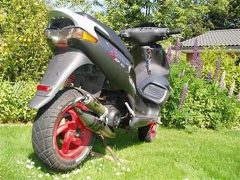 Gilera Runner 50 sp - Lidt fra siden/bagfra billede 2