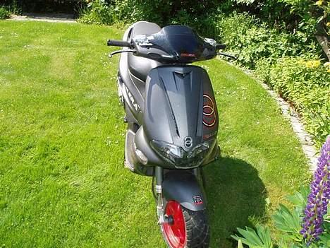 Gilera Runner 50 sp - Den er jo bare så fed billede 4