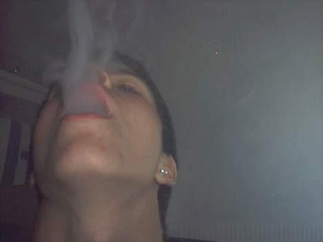 MiniBike havetraktor - men det var fed billede 7