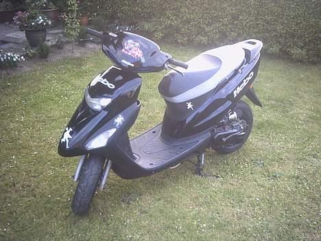 Honda sfx^solgt billede 2