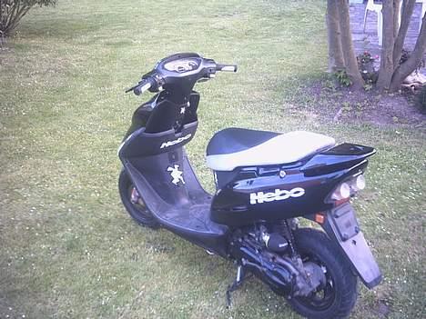 Honda sfx^solgt billede 3