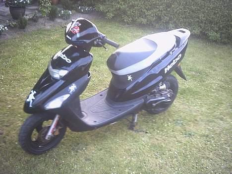 Honda sfx^solgt - så dejlig er hun  billede 5