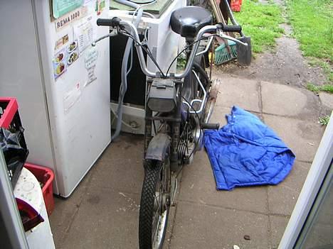 Puch              maxi k  - et par daga efter.. billede 6