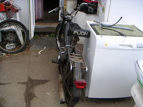 Puch              maxi k  - den klamme røv igen der... billede 11