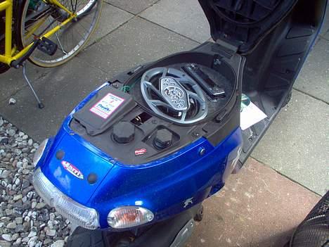 Piaggio Typhoon solgt billede 15