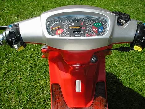 PGO Hot50 Ferrari-ed SOLGT - Læg mærke til stelnummer-pladen billede 8