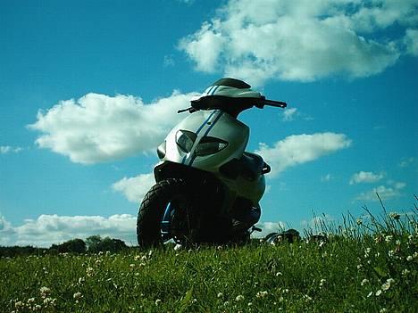 PGO Dr. big solgt  - frontskjoldet  billede 5