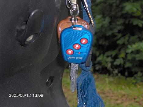 CPI Popcorn - der er også alarm med fjernbetjening på dyret.. billede 14