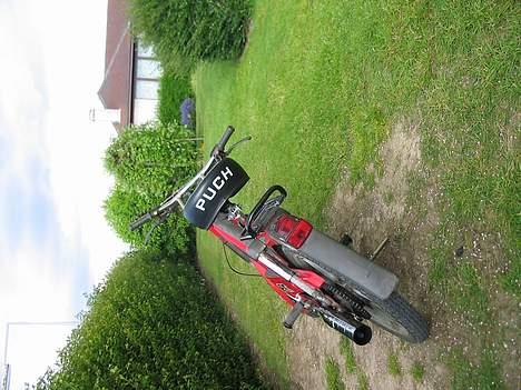 Puch maxi-p1L billede 5