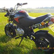 Skyteam PBR (bytt-es)