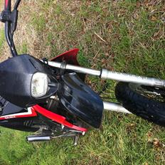 Gilera smt.