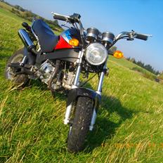 Skyteam PBR (bytt-es)