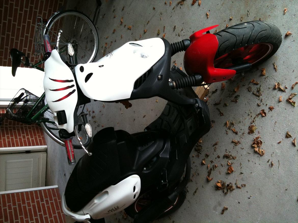 PGO pmx No Fear billede 10