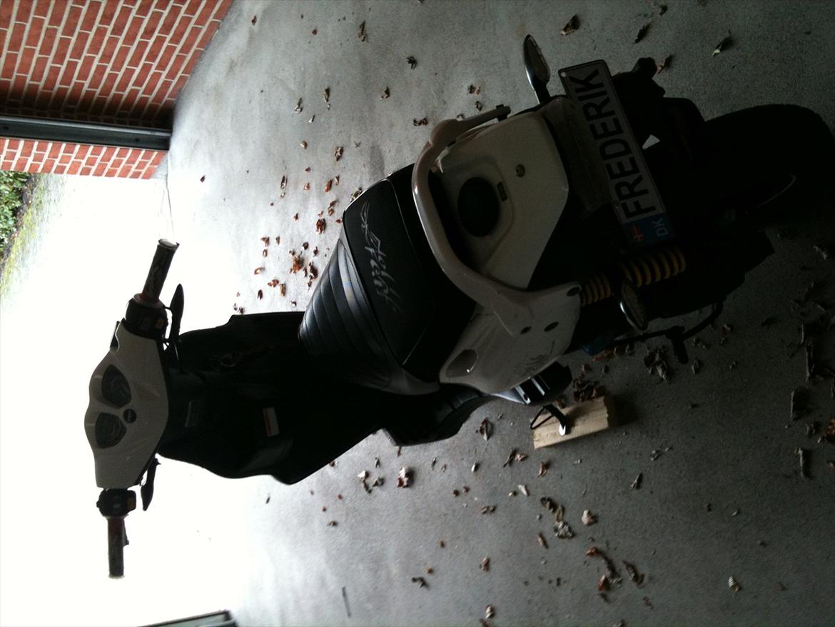 PGO pmx No Fear billede 13