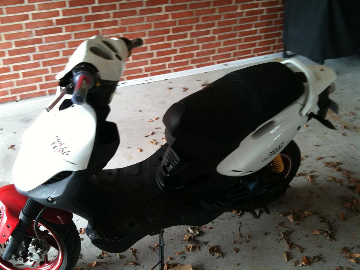 PGO pmx No Fear billede 15