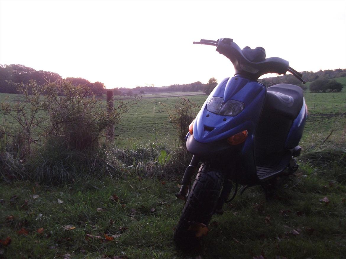 Gilera Stalker billede 8