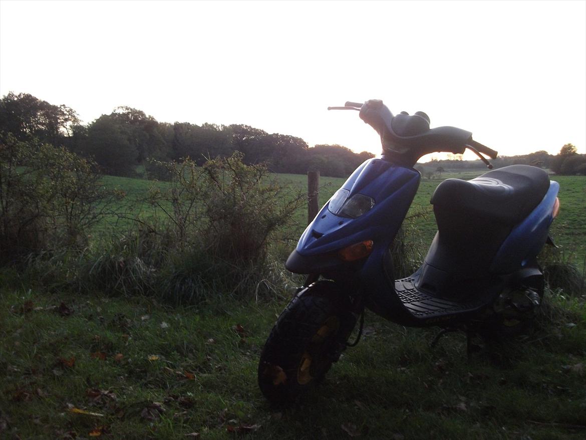 Gilera Stalker billede 9