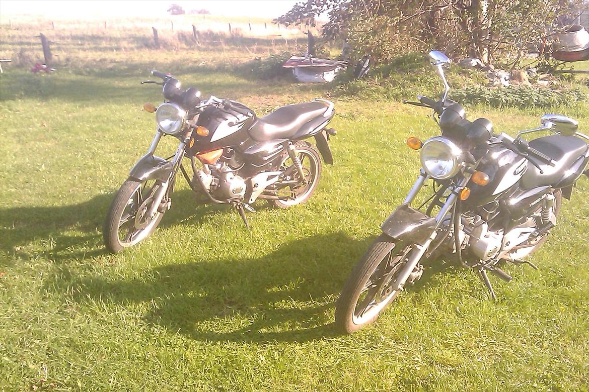 Yamasaki YM50-8b       [tidl. knallert] billede 12