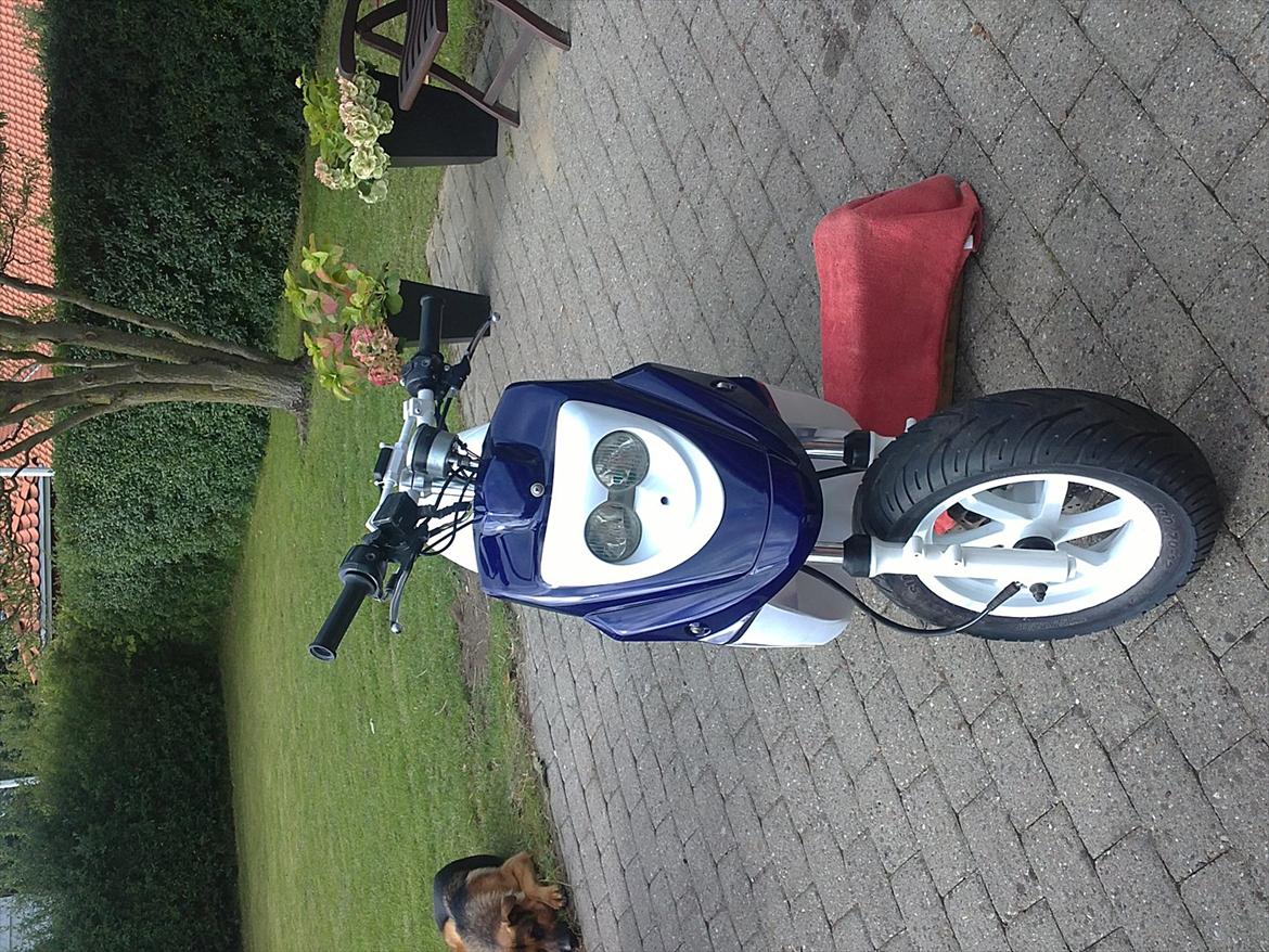 PGO hot 50 - igen det færdige resultat billede 2