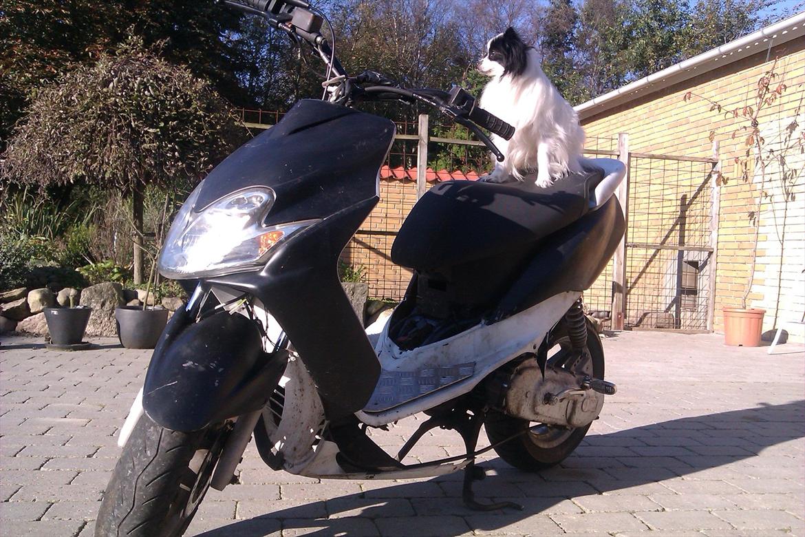 Yamaha Jog R - (byttet) billede 5