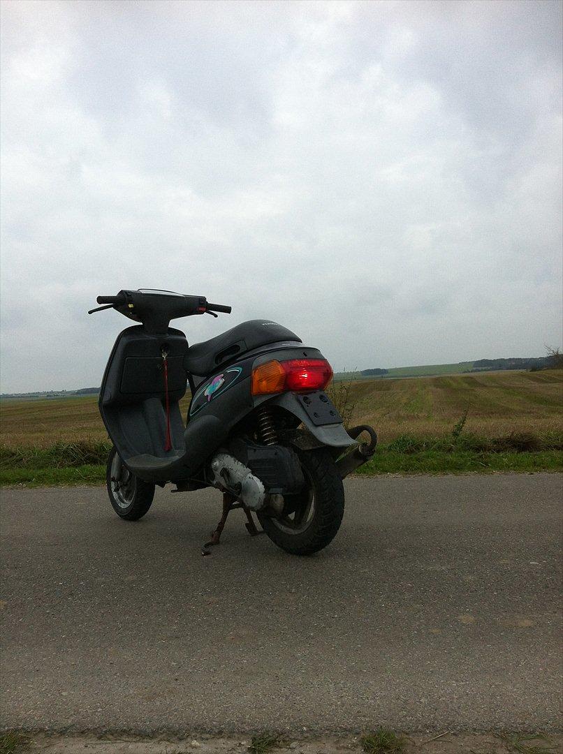 Piaggio Zip  billede 4