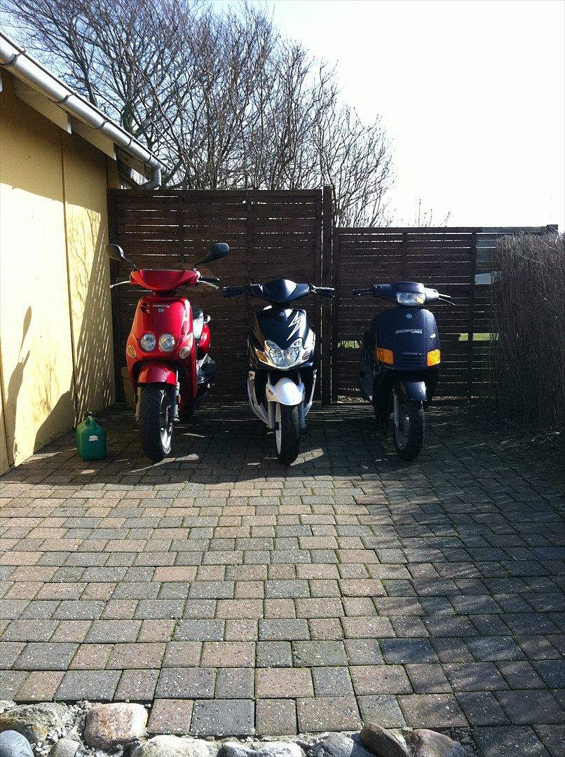 Piaggio Zip  billede 6