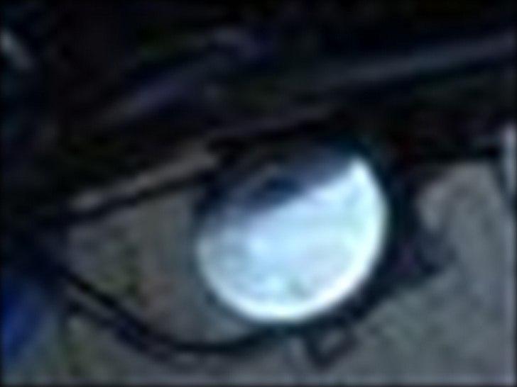 Aprilia rally billede 1