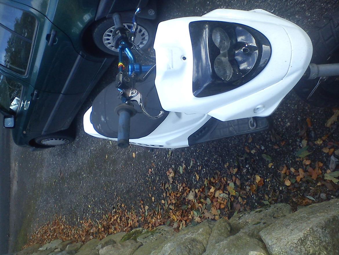 PGO hot 50 hvid  billede 3