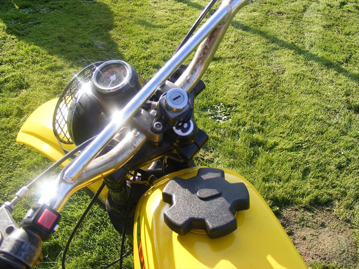 Puch pionier REBORN  billede 6