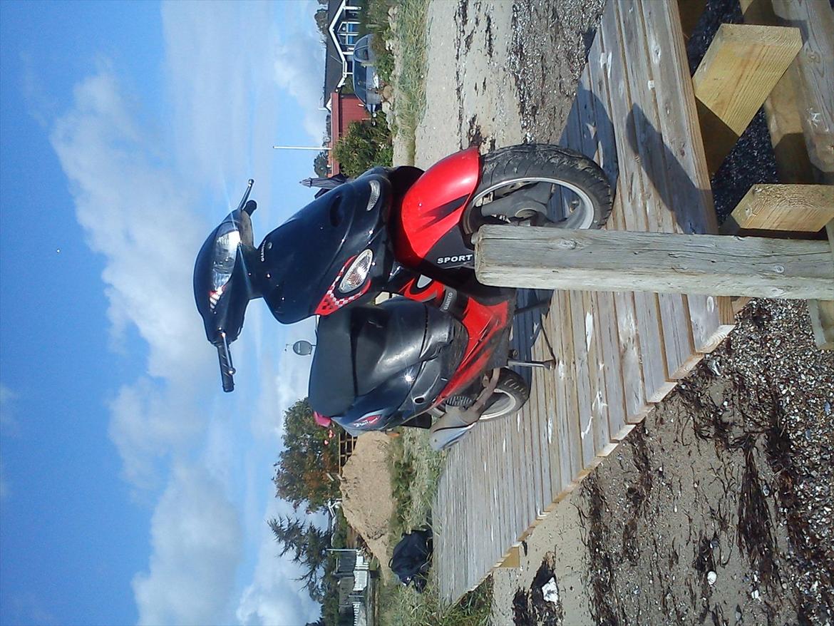 Giantco Sprint billede 6